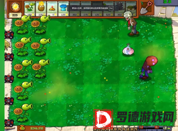 植物大战僵尸杂交版