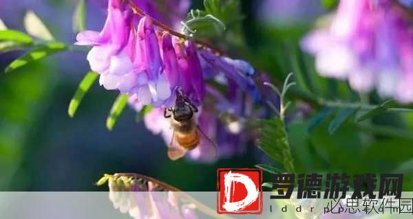 他的舌头探进蜜源毛毛虫说：探索蜜源的毛毛虫，舌尖舞动自然之美