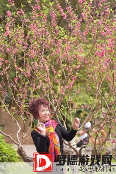 丰裕纵满2688：丰盈生活，畅享2688带来的无限可能与精彩！