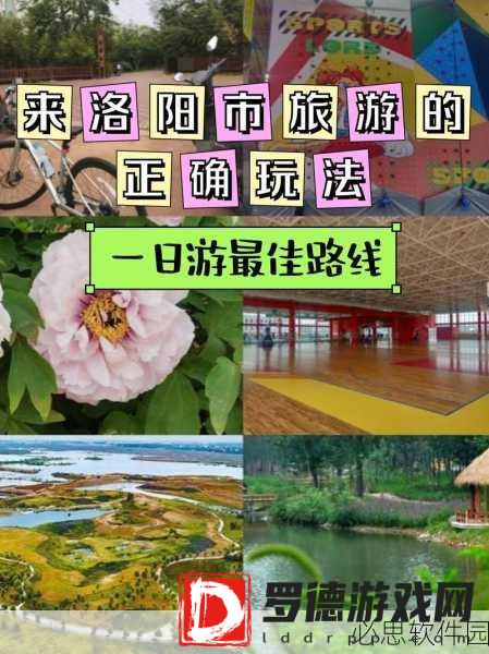 51dm2l vip：畅享51dm2l VIP特权，尽情体验无限乐趣与优惠！