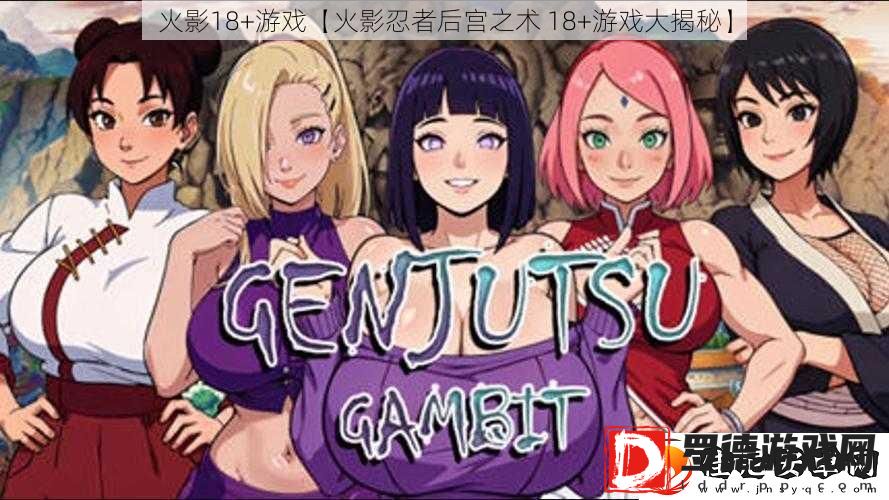 火影18+游戏【火影忍者后宫之术