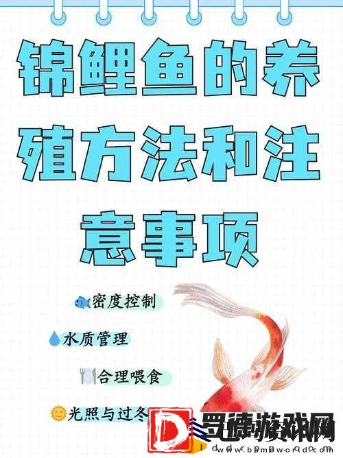 一夹一放怎么放和锦鲤吸水区别是什么之深入探究与详细解析