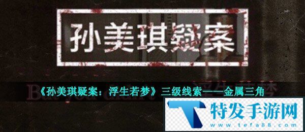 《孙美琪疑案：浮生若梦》三级线索——金属三角