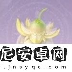 无限暖暖日光果在哪