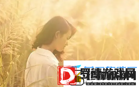 快递员的特殊待遇3