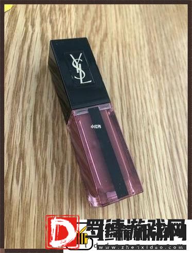 探索时尚与个性的融合——ysl千人千色t9t9t9t9t9mba