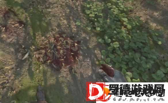 天国拯救2支线任务祖传宝物图文攻略