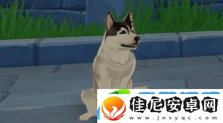 原神狗的作用介绍