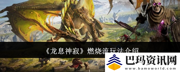 龙息神寂燃烧流玩法介绍
