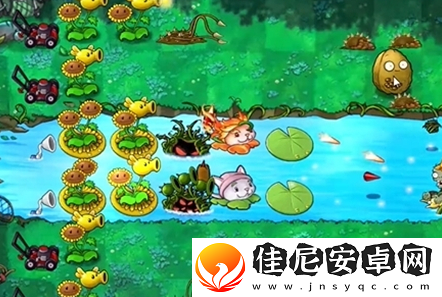植物大战僵尸融合版第27关怎么过关