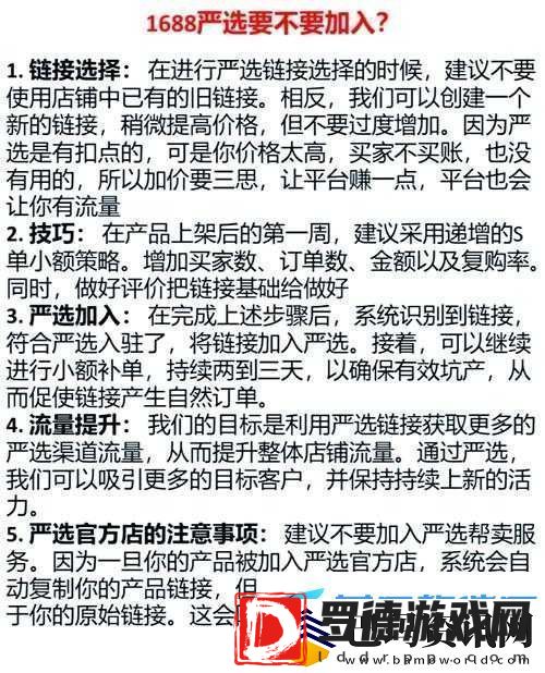 成品站源码
