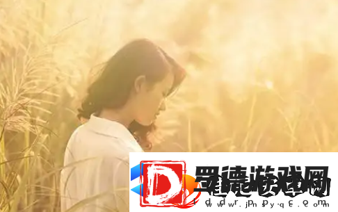 星星影视在线观看官友
