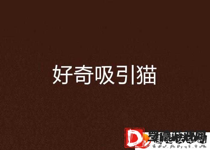 好奇
