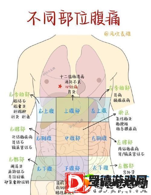 女上男下姿势后左下腹肚子疼