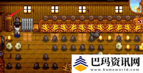 星露谷物语鸡蛋怎么孵化