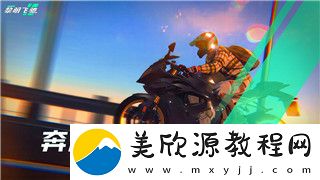 盐和避难所