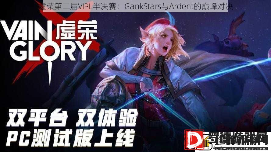 虚荣第二届VIPL半决赛