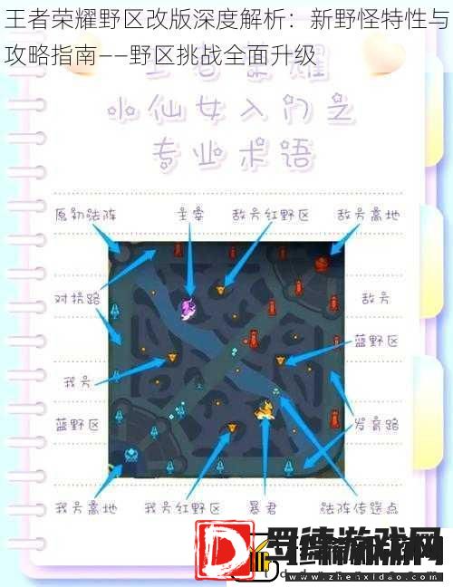 王者荣耀野区改版深度解析
