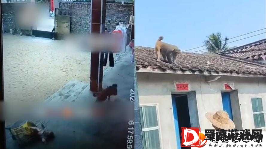 二人生猴子不盖被子的科学解释与健康影响