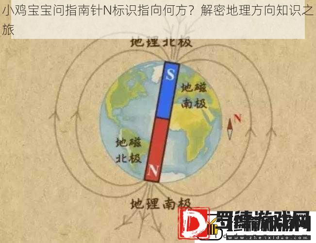 小鸡宝宝问指南针N标识指向何方