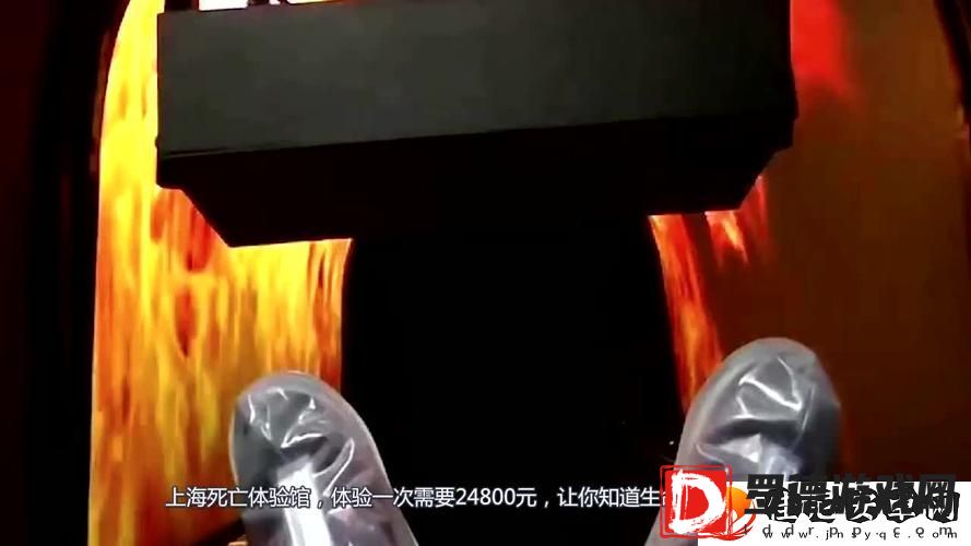 死亡体验馆是什么