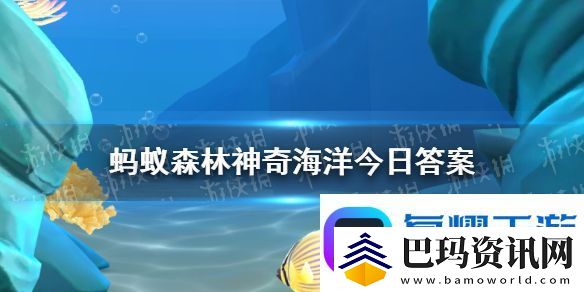 帝王蟹更喜欢以下哪种海洋环境