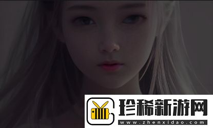 亚洲尺码与欧洲尺码之间的转换差异及黄连专线的作用