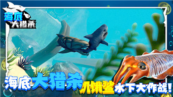 永恒空间2测评答案最新解析