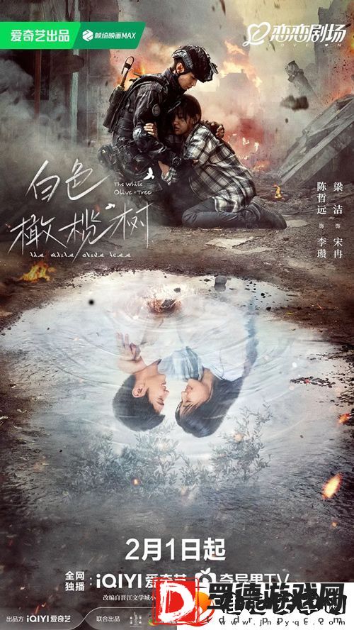 军旅剧白色橄榄树爱奇艺热播