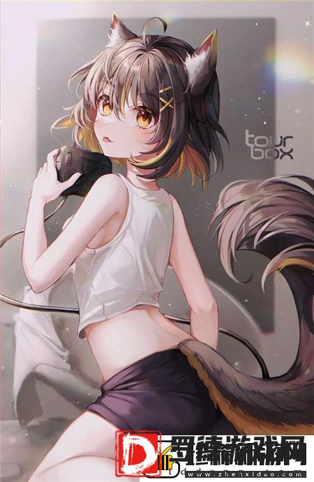老版九1免费版下载安装