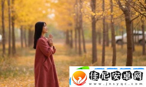 三年片中国在线观看免费大全友