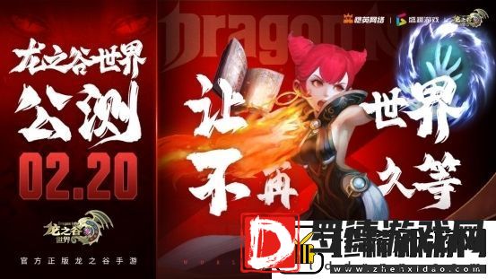 开发者专栏