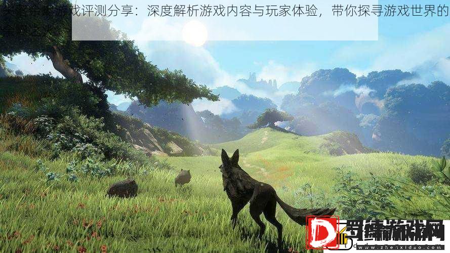 失落余烬游戏评测分享