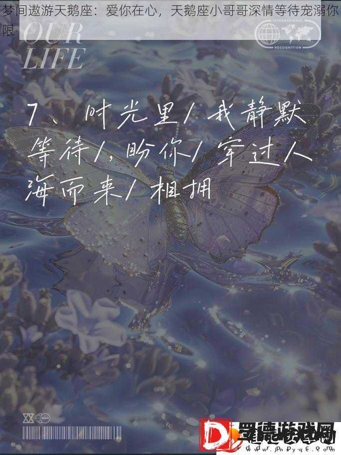梦间遨游天鹅座