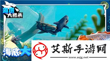 战国无双怎么双人玩