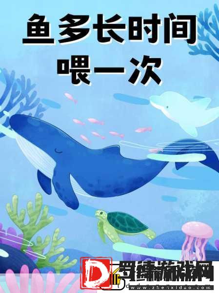喂鱼狂潮席卷而来休闲时光新宠儿等你来体验！