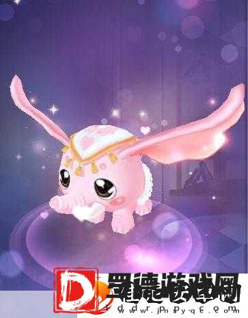 QQ炫舞宠物养成攻略