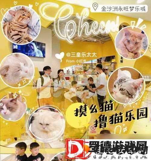 猫之城篁迳月韵怎么样