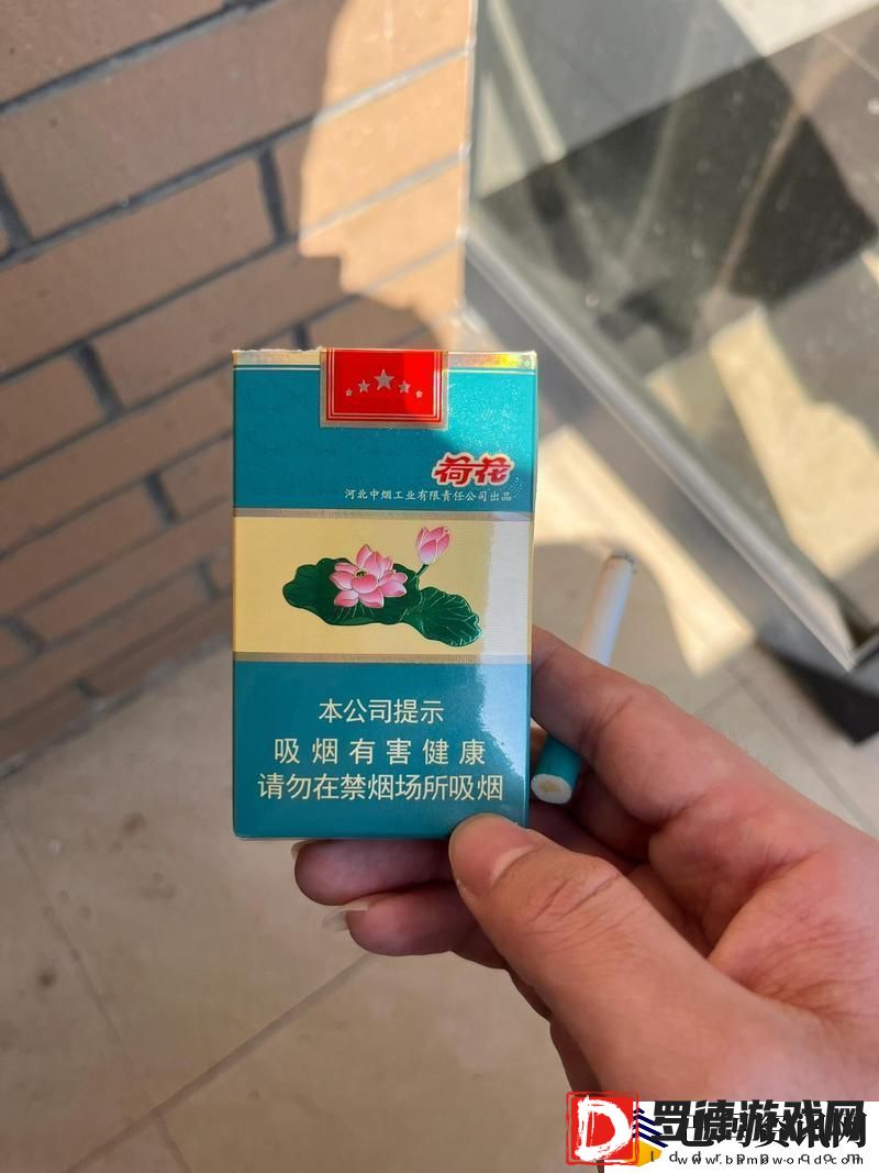 独特魅力荷花1777.tⅴknow的文化探寻