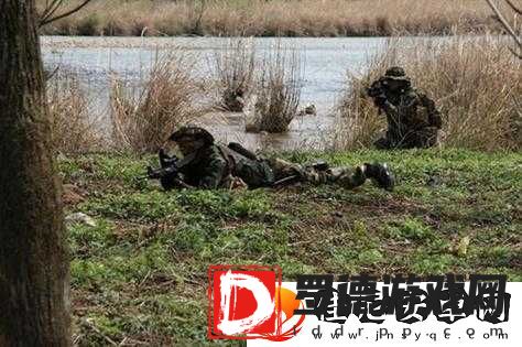 国产精品户外打野战产品市场前景