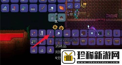 泰拉瑞亚岩浆免疫饰品怎么获得