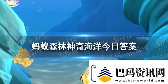 以下哪种鲨鱼能跳跃出水面