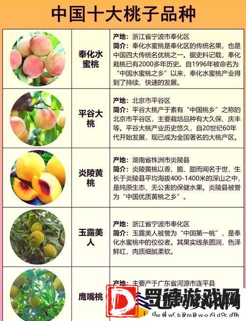 探索蜜桃国精产品二三三区的魅力与特色