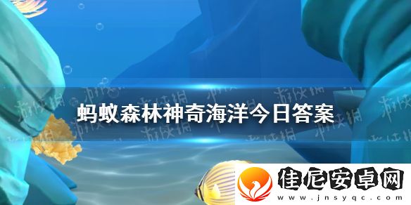 考考你皮革珊瑚属于珊瑚中的
