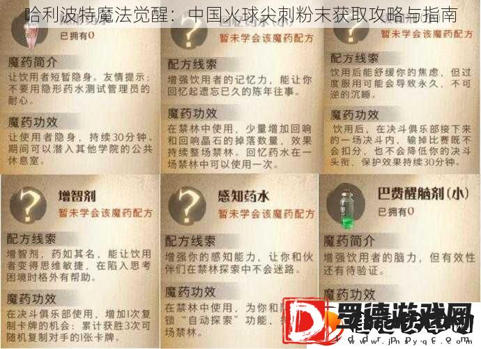 哈利波特魔法觉醒