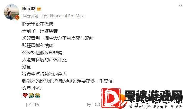 陈乔恩为红小狗艾特发声
