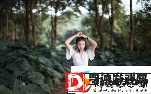 欧美无人区码AAAAA引爆热议