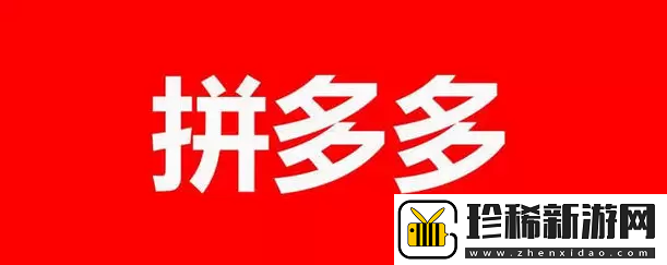 拼多多怎么看总共消费多少钱2023