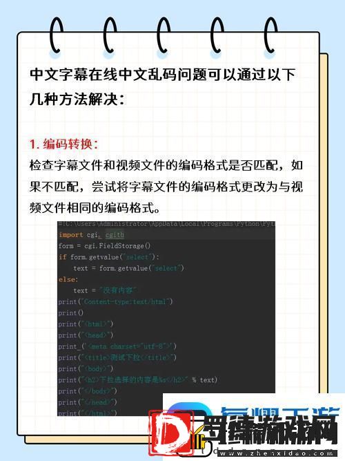 内容丰富中文字字幕在线中文乱码