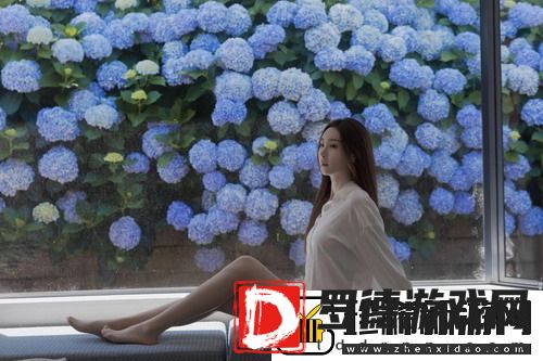 欧美大妈啦啦啦啦啦啦歌曲引爆热潮，网友：这真是耳朵的盛宴！